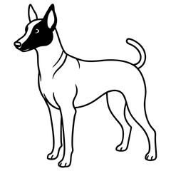 Minimal Basenji Dog Vector on White