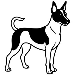 Minimal Basenji Dog Vector on White