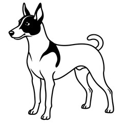 Minimal Basenji Dog Vector on White