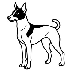 Minimal Basenji Dog Vector on White