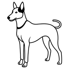 Minimal Basenji Dog Vector on White