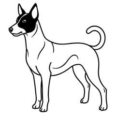 Minimal Basenji Dog Vector on White
