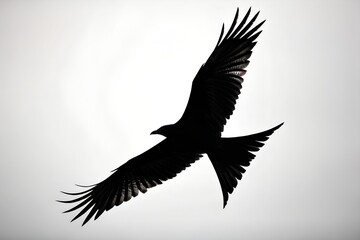 flying bird silhouette clean white background
