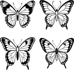 Butterfly illustrations assortment black and white outline designs