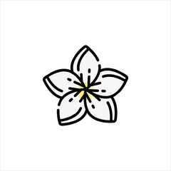 butterfly on white background