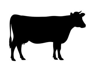 cow silhouette vector for farm branding, agricultural projects, web graphics, educational visuals, and creative design
