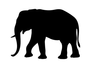 Fototapeta premium elegant elephant silhouette vector artwork with raised trunk for wildlife branding, safari-themed marketing, educational resources, and decorative digital graphics 