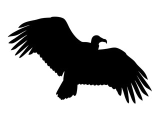 silhouette of a flying vulture with wings spread wide, ideal for wildlife branding, tattoos, and logo designs
