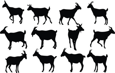 goat silhouettes.