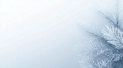 A frosty Christmas tree with white needles against a light blue background.