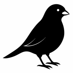 Modern Canary Silhouette Vector Art