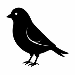Modern Canary Silhouette Vector Art
