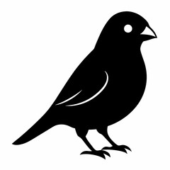 Modern Canary Silhouette Vector Art