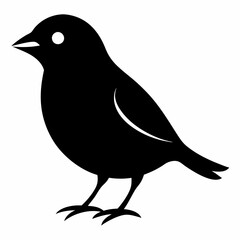 Modern Canary Silhouette Vector Art