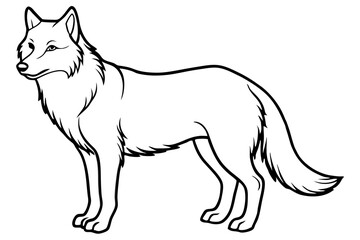 Wolf vector illustration line art and white background