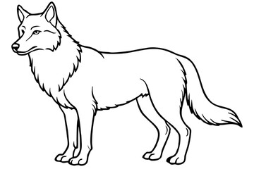 Wolf vector illustration line art and white background