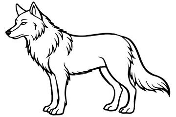 Wolf vector illustration line art and white background