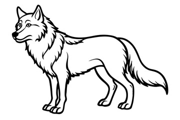 Wolf vector illustration line art and white background
