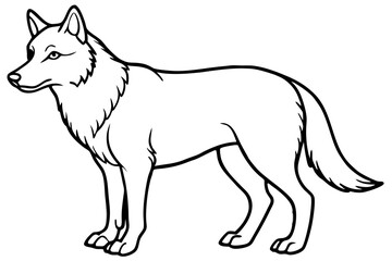 Wolf vector illustration line art and white background