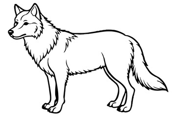 Wolf vector illustration line art and white background