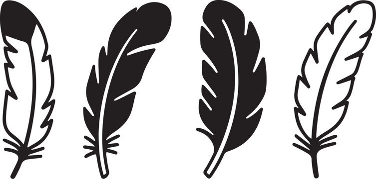 Fototapeta vector illustration of feather