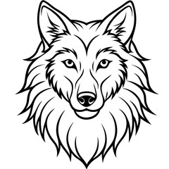 Wolf head vector illustration line art and white background