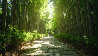 A peaceful bamboo forest pathway with sunlight filtering through the dense green canopy, casting soft shadows on the stone-paved trail.