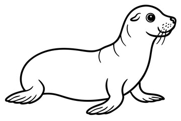 Seal vector illustration line art and white background