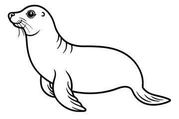 Seal vector illustration line art and white background