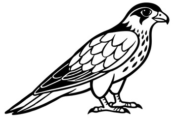 Falcon vector illustration line art and white background