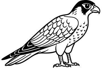 Falcon vector illustration line art and white background