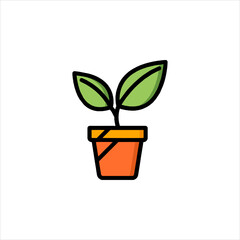 plant in pot