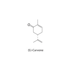 (S)-Carvone skeletal structure. Monoterpene ketone compound schematic illustration. Simple diagram, chemical formula.