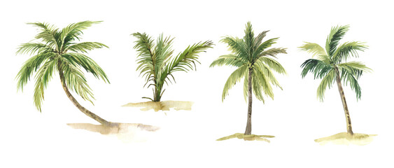 Watercolor palm trees set, hand-draw illustrations