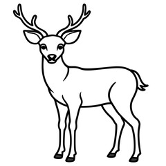 Deer vector illustration line art and white background