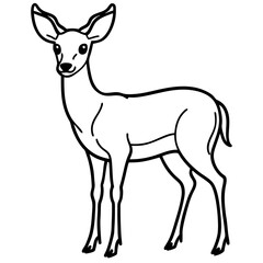 Deer vector illustration line art and white background