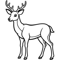 Deer vector illustration line art and white background