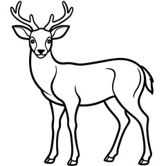 Deer vector illustration line art and white background