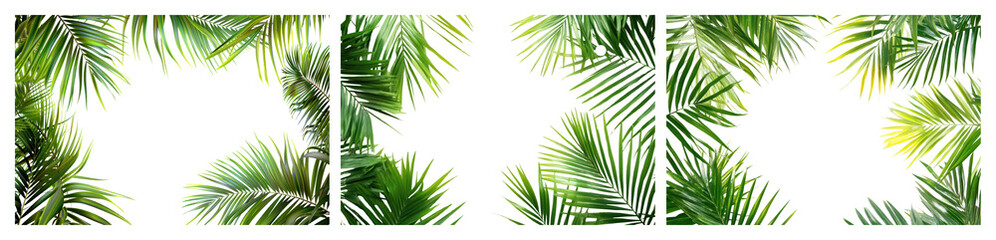 Obraz premium PNG Tropical palm leaves frame, element set on transparent background