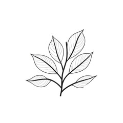 Branch with leaves botanical simple nature art