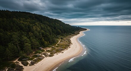 Fototapeta premium Coastal Forest Serenity: Dramatic Aerial View of Sandy Beach and Dark Clouds