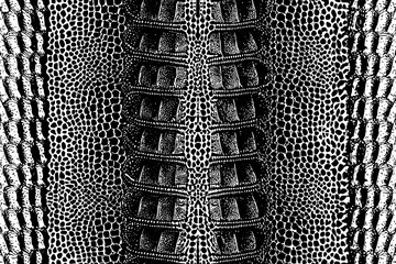 Symmetrical Crocodile Skin Pattern Vector in Black and White