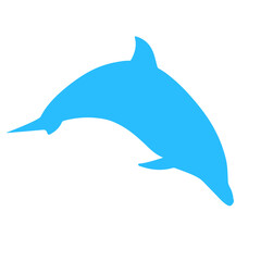 dolphin vector illustration