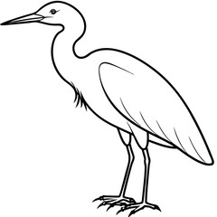 Minimal Cattle Egret Vector on White
