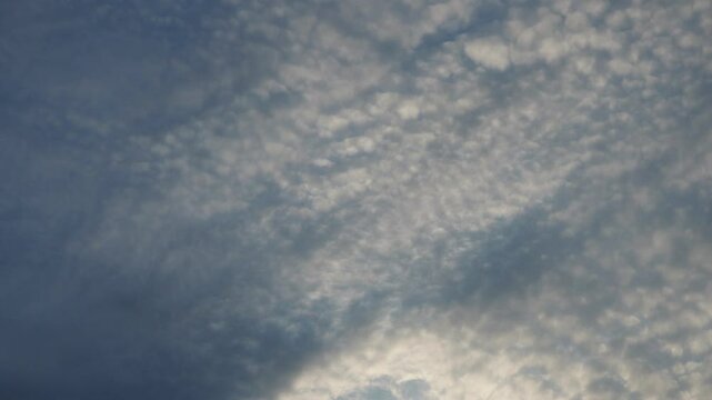 Altocumulus high cumulus heaped cloud genus belongs to stratocumuliform. Globular masses or rolls in layers or patches. Cumuliform stratocumuliform clouds, altocumulus signifies convection. Blue sky.