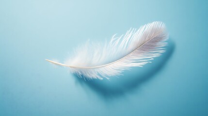 Naklejka premium Delicate, light-colored feather on a pastel background.