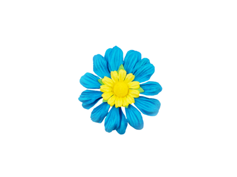 A vibrant artificial daisy flower with bright blue petals and a sunny yellow center isolated on a white background. Festival card design ideas...