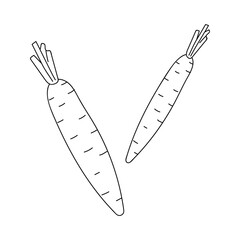 Carrot in doodle style on a white background. Food illustration, healthy eating.