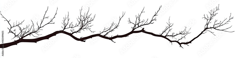 Wall mural long, bare tree branch with many small twigs extending outwards, creating a horizontal design elemen
