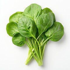 Fresh Green Bok Choy on White Background
